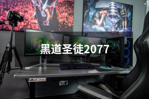 黑道圣徒2077-第1张-游戏相关-七六启网